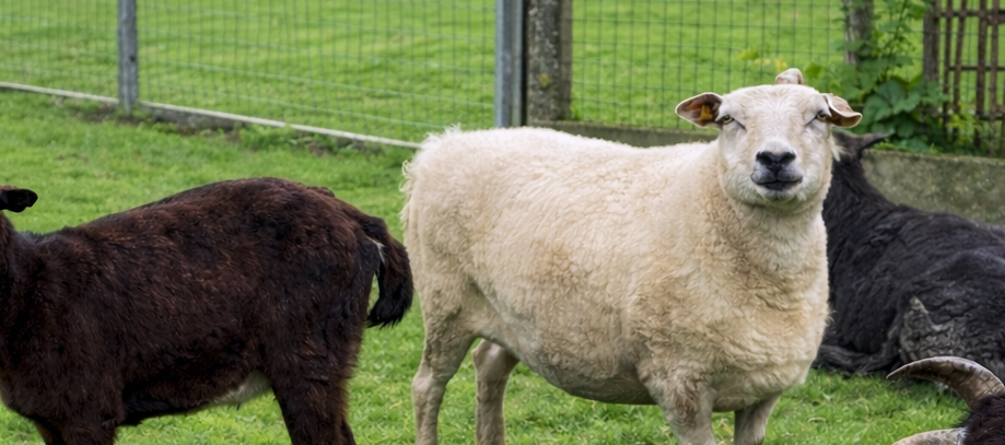 5f45387c-dcb-97cf-4cf81b3c0974