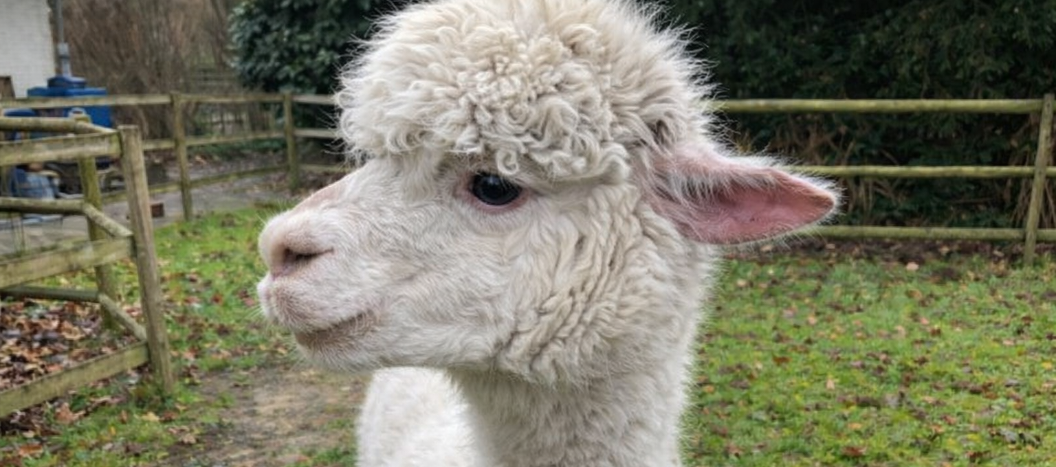 f406a405-c804-440e-ba9d-bca3e81b361c